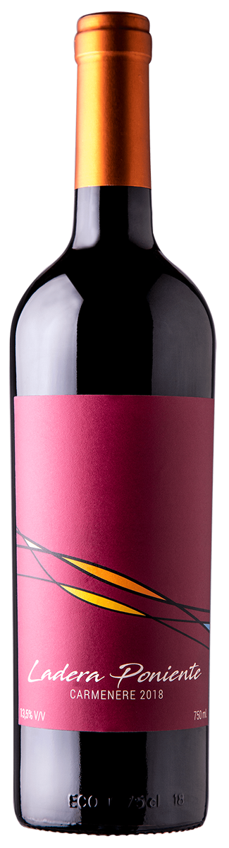 Araucaria Paket 1: Chile in 6 Ausführungen