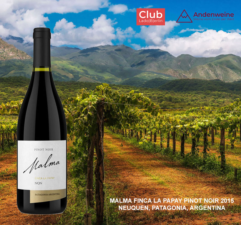 Exklusives Weinpaket für Mitglieder des Club Lado Berlin