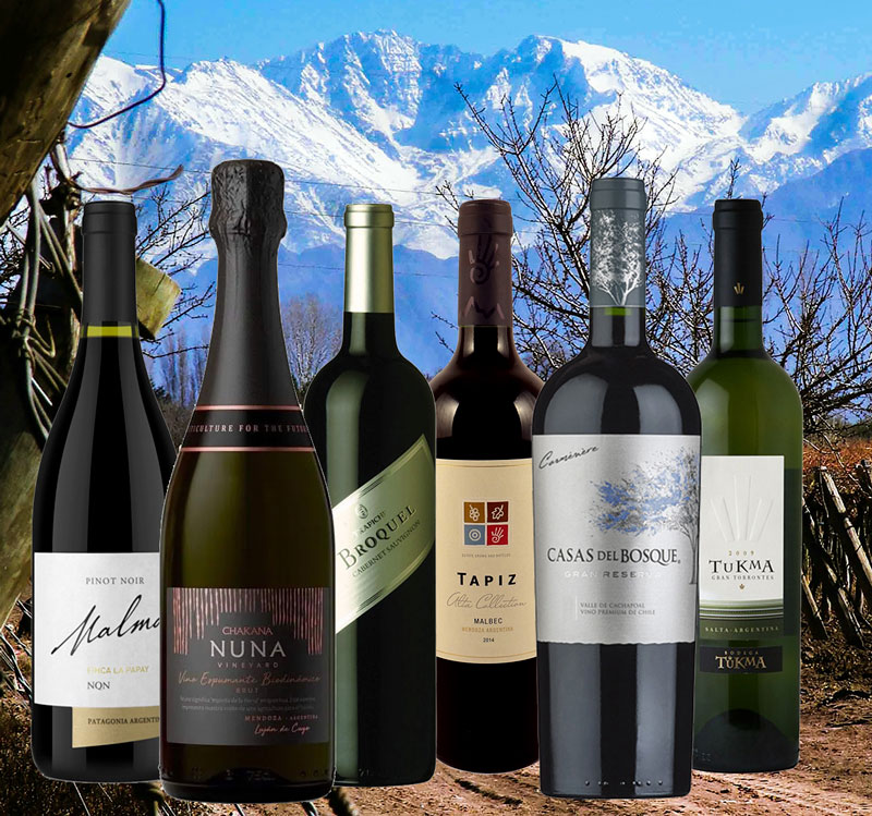 Weinprobe Pakete: Großartige Rebsorten, großartige Terroirs