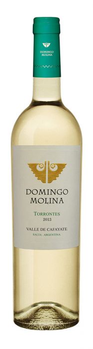 Domingo Molina Torrontés 2019