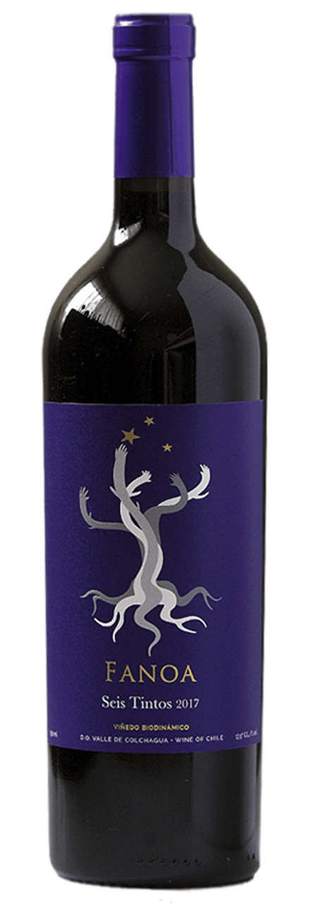 Araucaria Paket 1: Chile in 6 Ausführungen