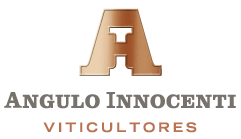 Angulo Innocenti