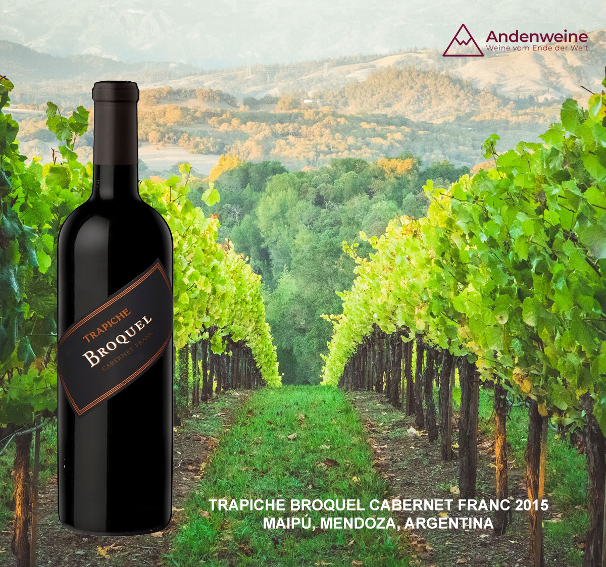  Exklusives Weinpaket für Mitglieder des Club Lado Berlin