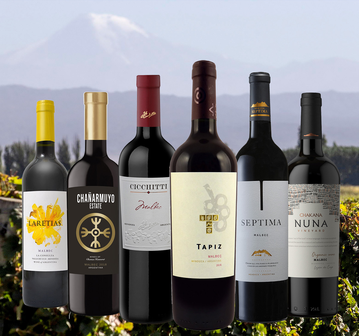Weinprobe Pakete: Nur Malbec I