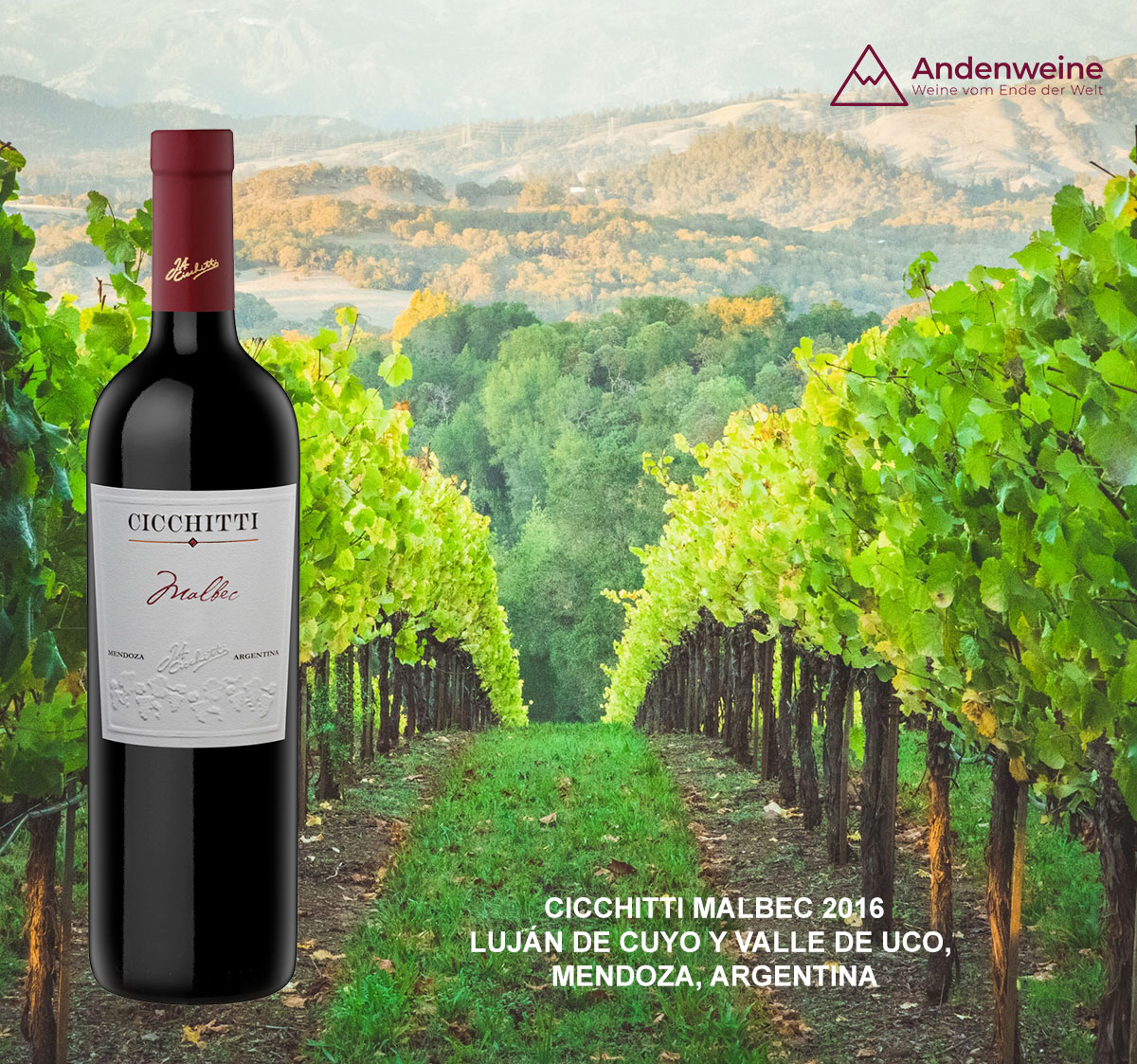  Exklusives Weinpaket für Mitglieder des Club Lado Berlin