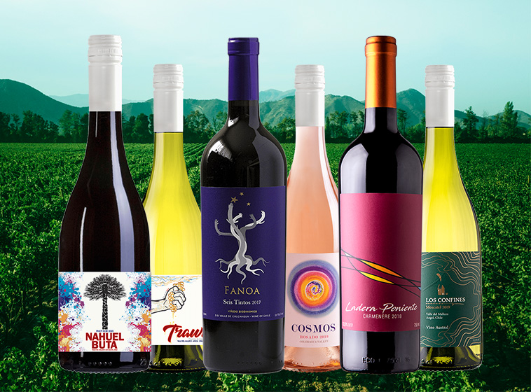 Araucaria Pack Degustación 1: Chile en 6 versiones
