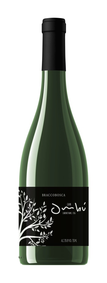 Gran Ombú Cabernet Franc 2017