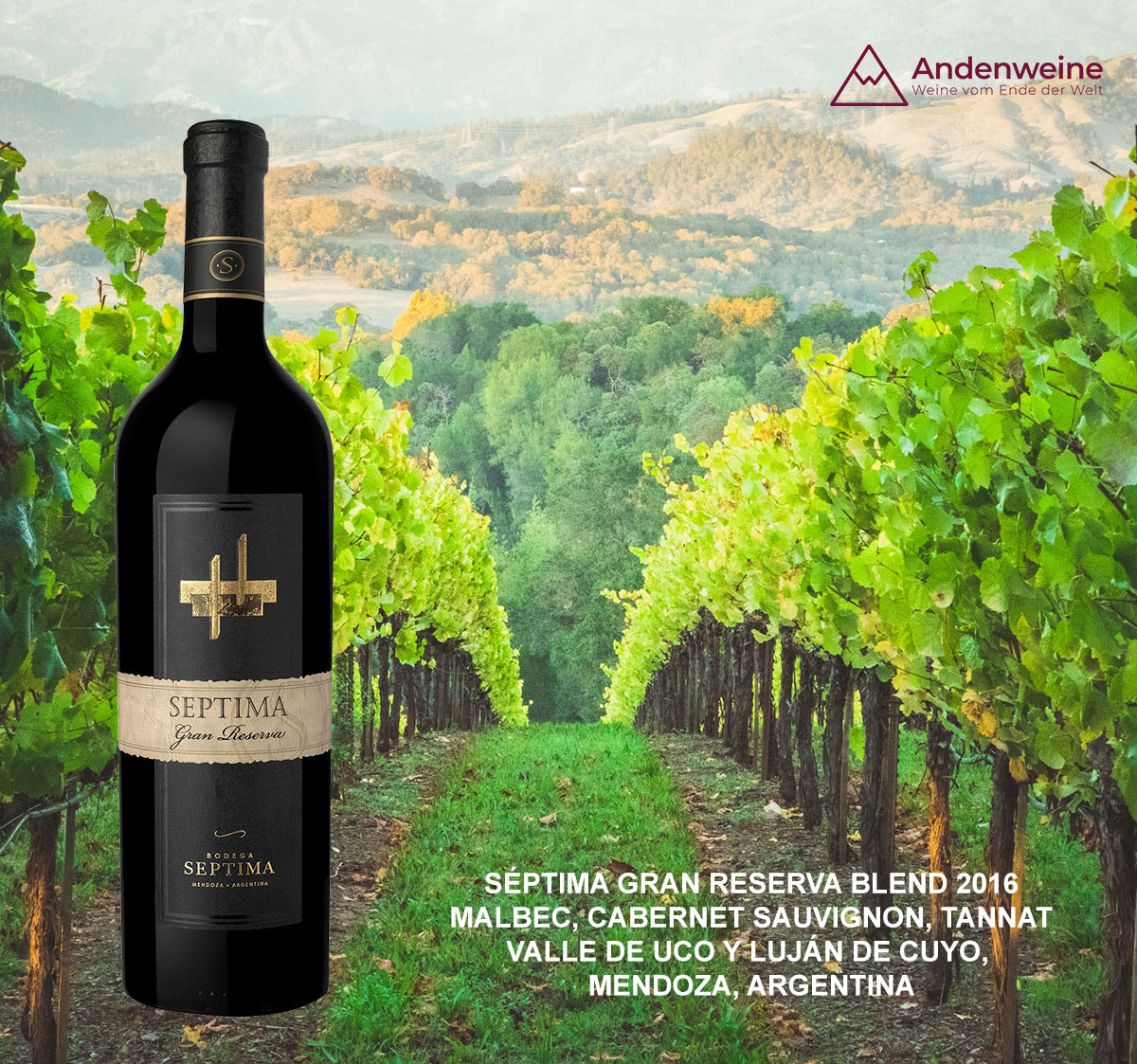  Exklusives Weinpaket für Mitglieder des Club Lado Berlin