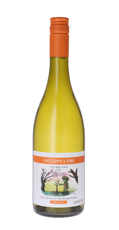Once Upon A Time: Trebbiano 2020