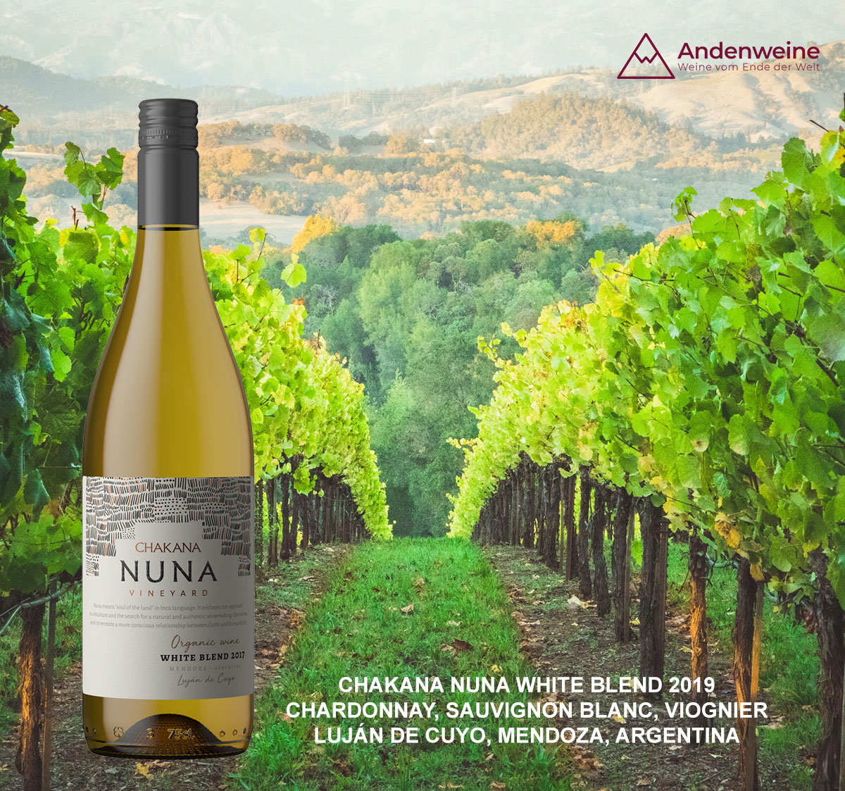  Exklusives Weinpaket für Mitglieder des Club Lado Berlin