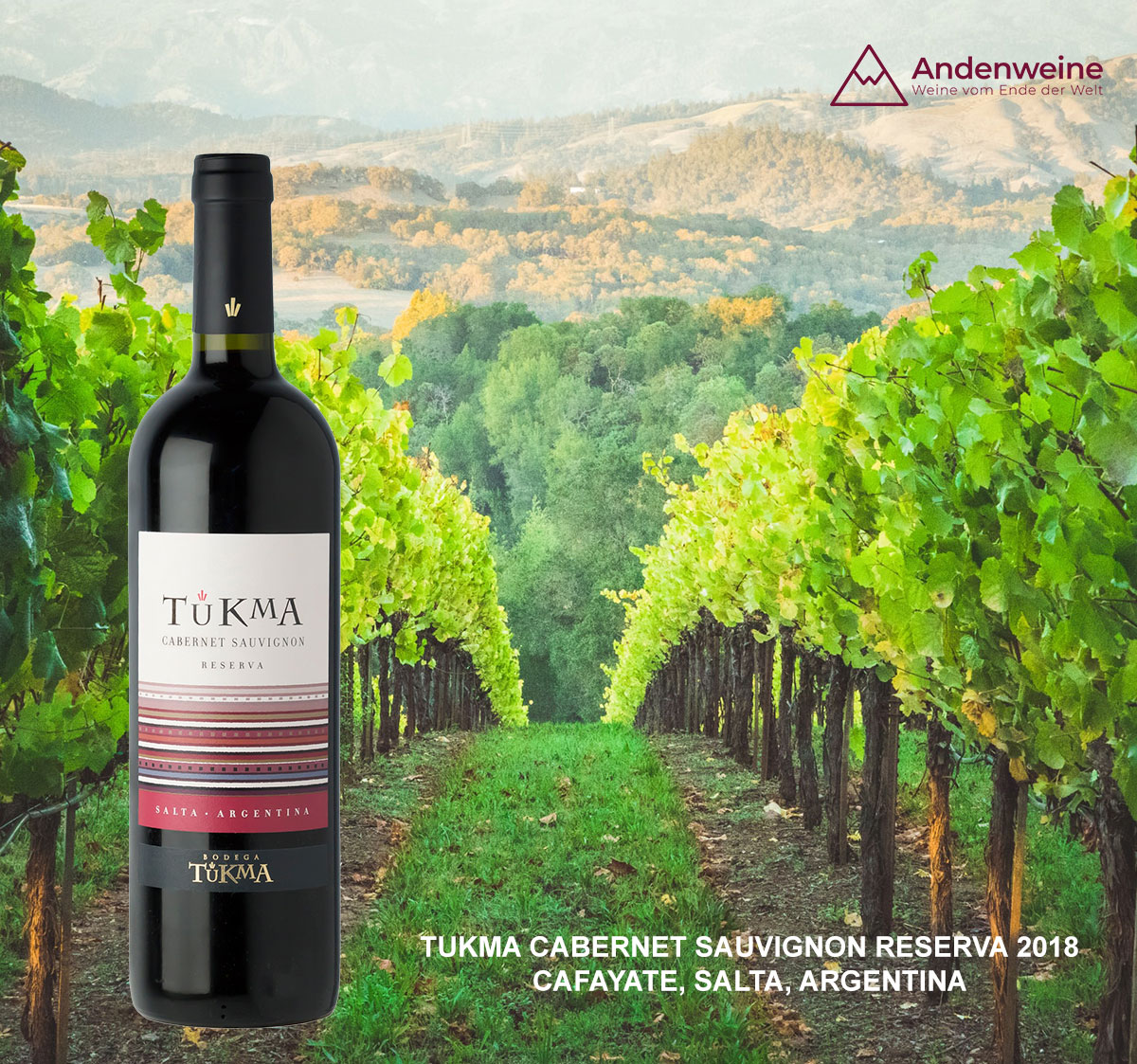  Exklusives Weinpaket für Mitglieder des Club Lado Berlin