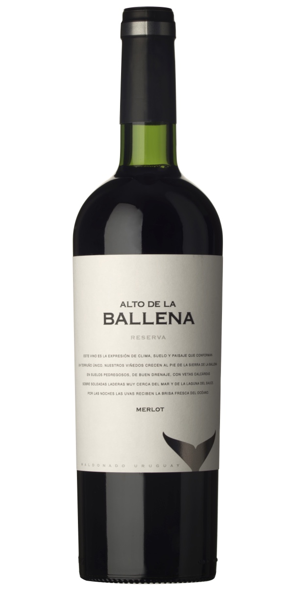 Alto de la Ballena Reserva Merlot 2016
